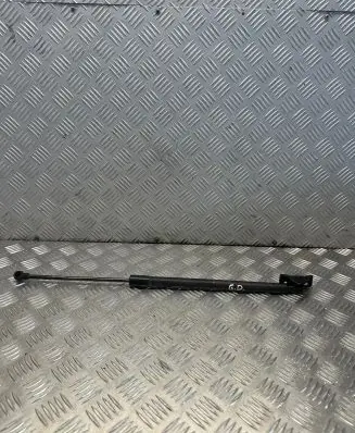Tailgate/trunk strut/damper