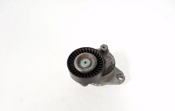 Mercedes-Benz CL C216 Timing belt/chain tensioner A2722000270