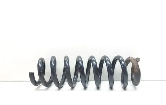 Rear coil spring