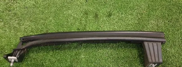 Rear door glass trim molding