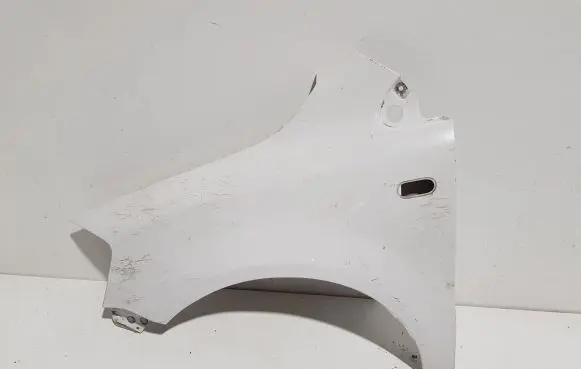 Volkswagen Fox Fender