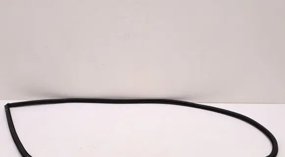 Lexus RX 450H Rubber seal rear door ACM100