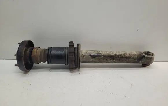 BMW 5 E39 Rear shock absorber/damper 1137932