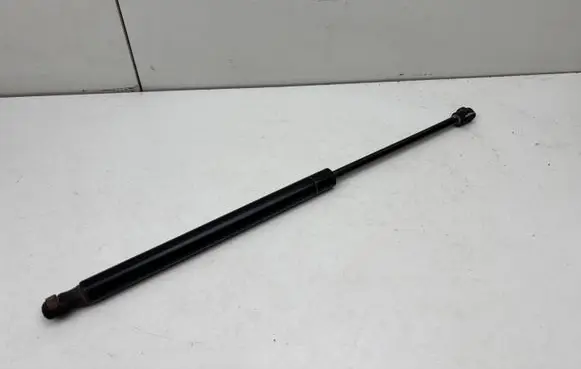 Tailgate/trunk strut/damper