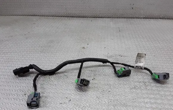 Chevrolet Cruze Fuel injector wires 55567239