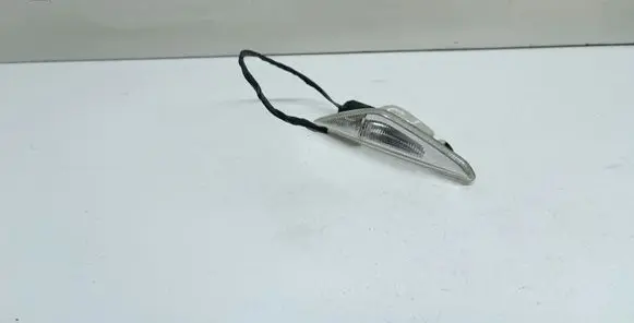 Front fender indicator light