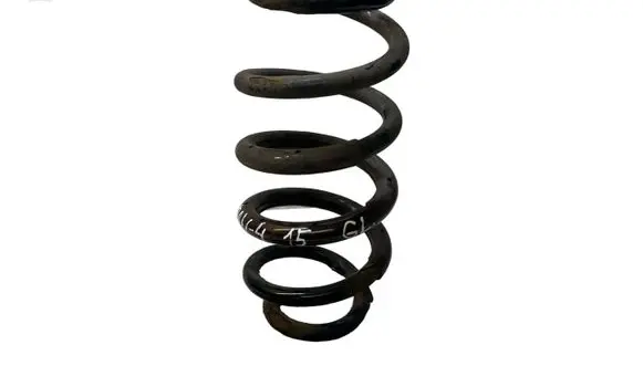 Rear coil spring