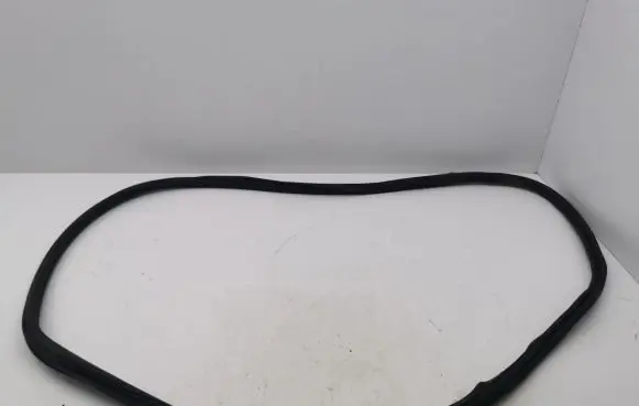 Volkswagen Golf VIII Front door rubber seal 5H4867911
