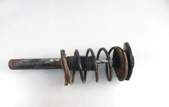 Peugeot 206 Front shock absorber with coil spring 