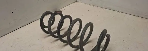 Rear coil spring