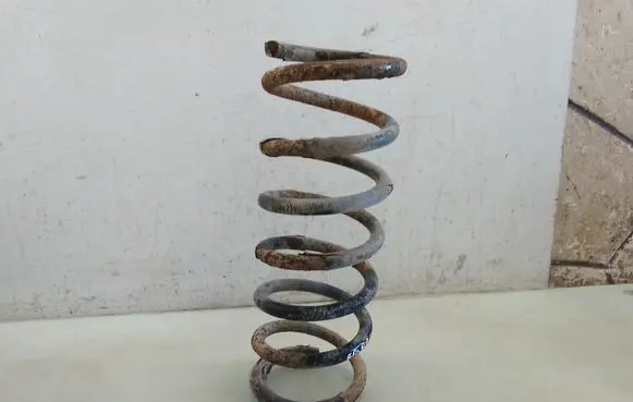 Rear coil spring