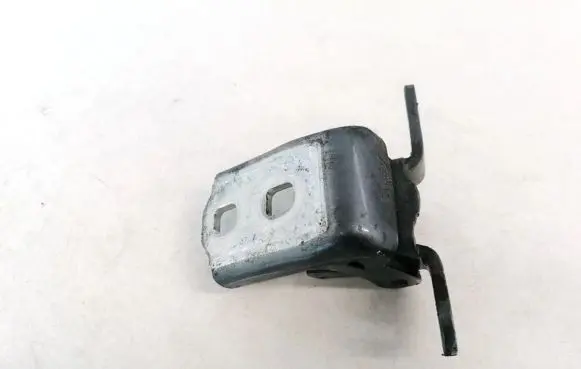 Opel Insignia A Rear door lower hinge ES03A046574