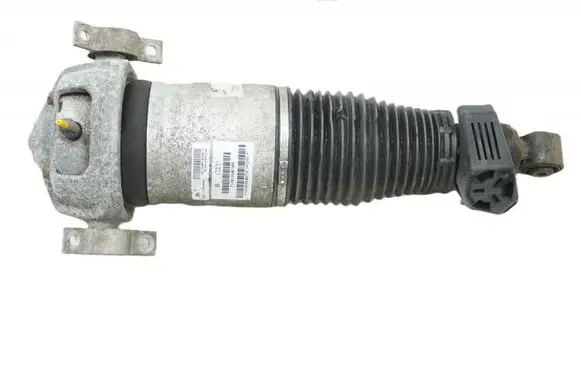 Audi Q7 4L Rear shock absorber/damper 7L8616020A