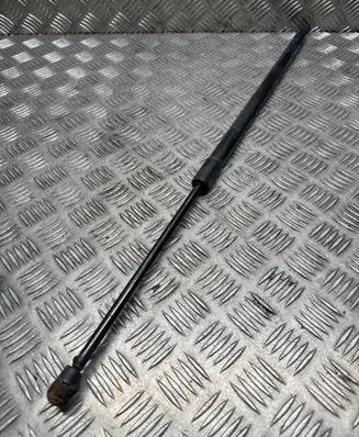 Tailgate/trunk strut/damper