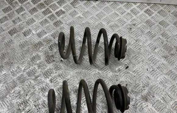 Rear coil spring