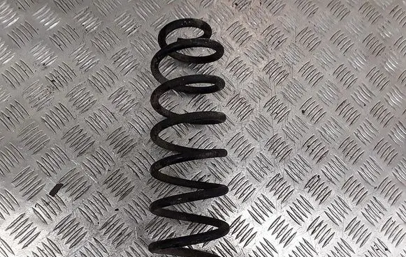 Volkswagen Tiguan Rear coil spring 