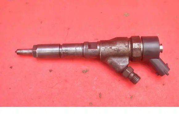 Peugeot Boxer Fuel injector 0445110076