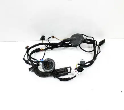 Front door wiring loom