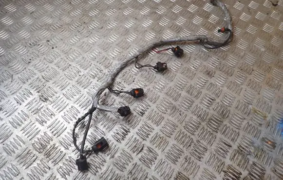 Audi A8 S8 D3 4E Fuel injector wires