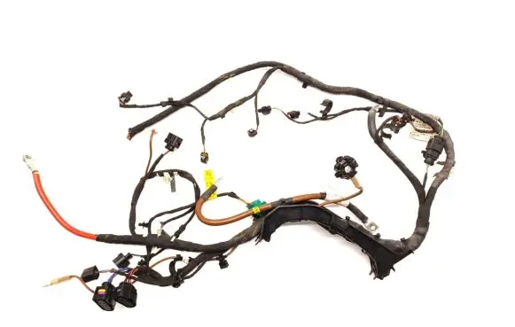 Volkswagen ID.4 Other wiring loom 1EA971354