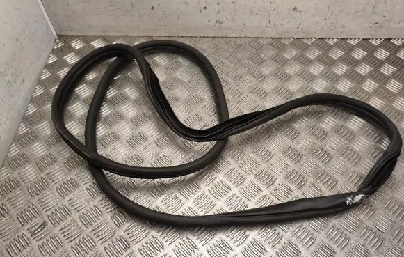 Hyundai Kona II Rubber seal rear door