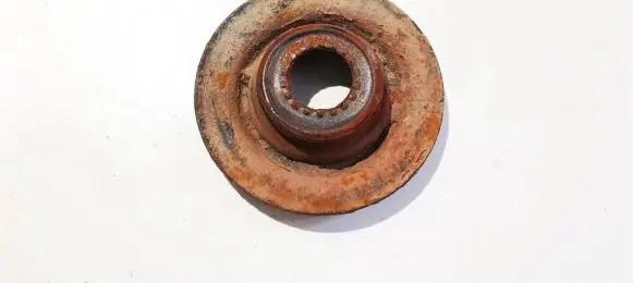 Coil spring mount