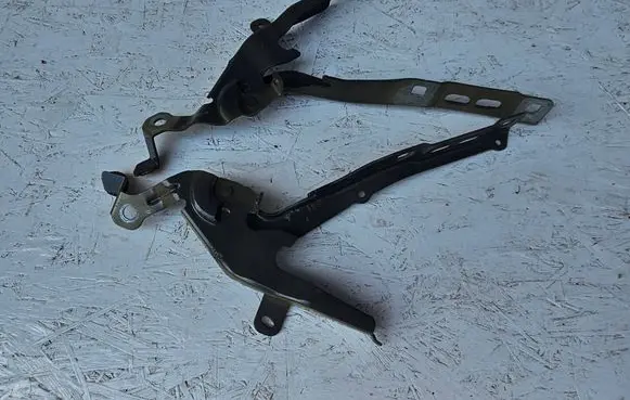 Peugeot 2008 II Engine bonnet/hood hinges 9838511380