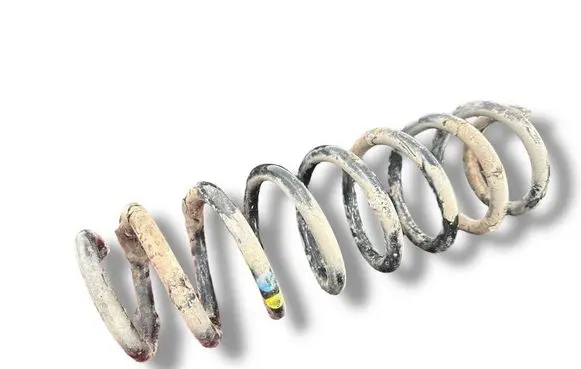 Rear coil spring
