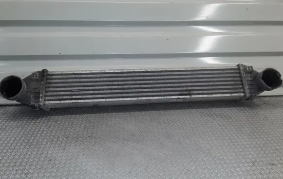 Mercedes-Benz A W169 Intercooler radiator A1695000000