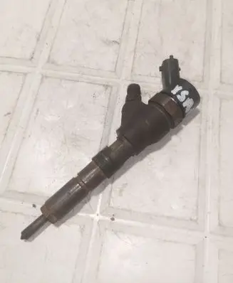 Citroen Xsara Picasso Fuel injector 0445110076 9653594280