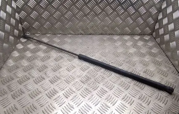 Volvo C30 Front bonnet/hood damper/strut 31218478