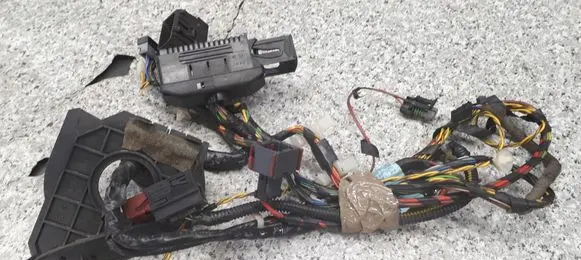Opel Vectra C Front door wiring loom 24419031