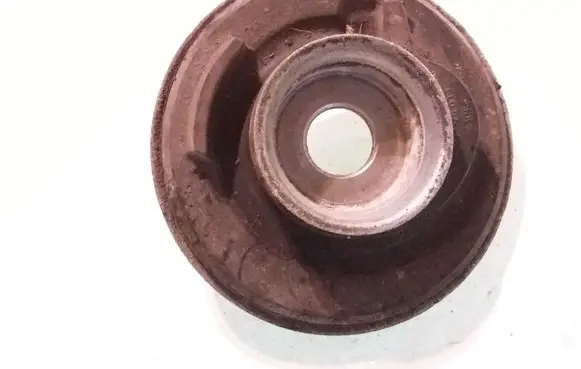 Coil spring mount