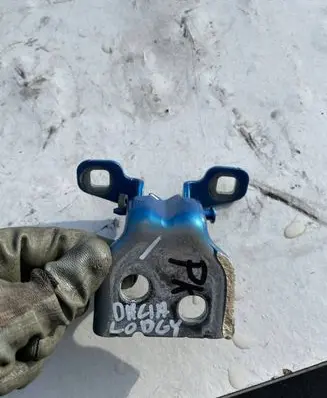 Dacia Lodgy Front door lower hinge 