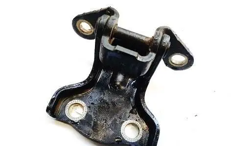 Rear door lower hinge