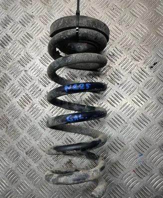 Rear coil spring