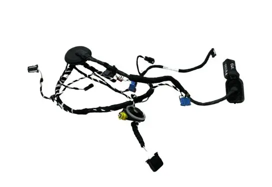 Volkswagen Tiguan Front door wiring loom 5NB971162CD 5Q0959354 4L0971841