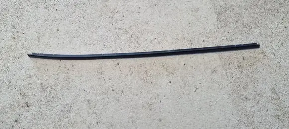 Volkswagen Phaeton Windshield trim 