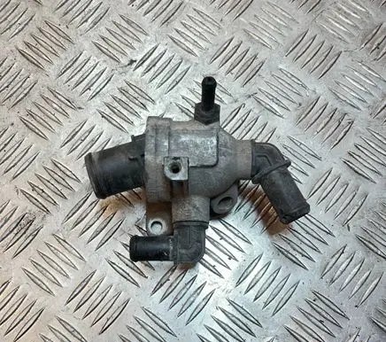 Thermostat/thermostat housing