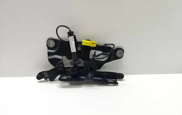 BMW 5 F10 F11 Engine bonnet/hood hinges 7249888 724988809
