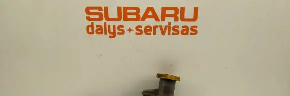 Subaru Forester SF Clutch master cylinder