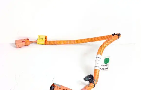 Other wiring loom