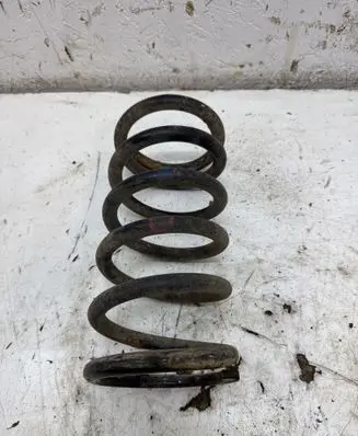Rear coil spring