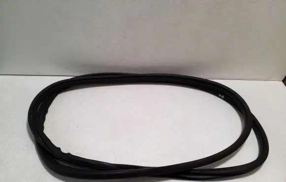 Nissan Navara D23 Front door rubber seal 
