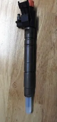 Jaguar XF X250 Fuel injector 0445116013