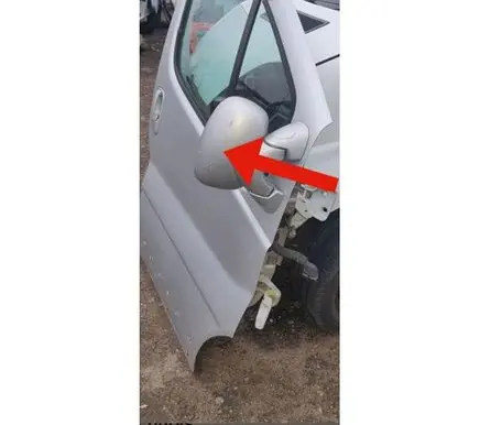 Opel Vivaro Front door electric wing mirror 010022