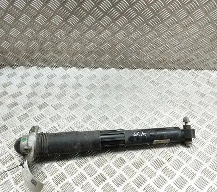 Volkswagen ID.4 Rear shock absorber/damper 1EA512013AS