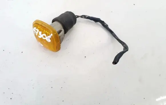 Front fender indicator light
