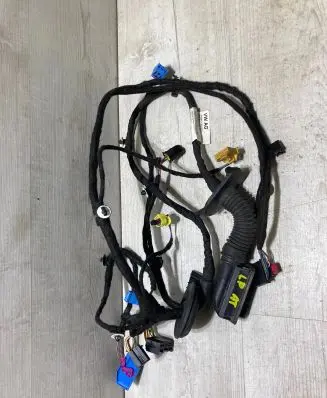 Front door wiring loom