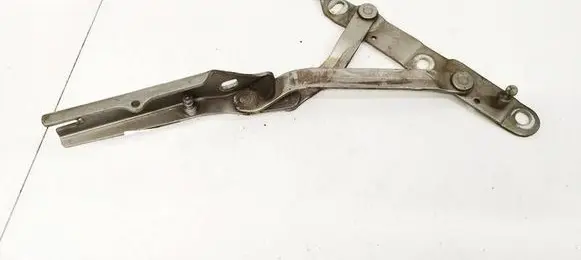 Tailgate/trunk/boot hinge